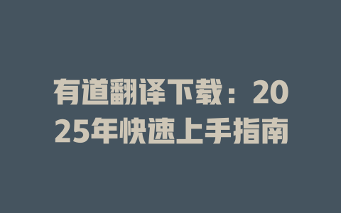 有道翻译下载：2025年快速上手指南 二