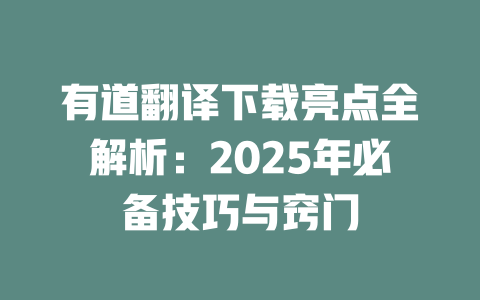 有道翻译下载亮点全解析：2025年必备技巧与窍门 二