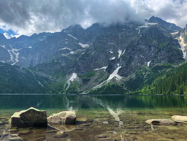 有道翻译怎么下载？2025年官网最新地址+安装使用全指南 一