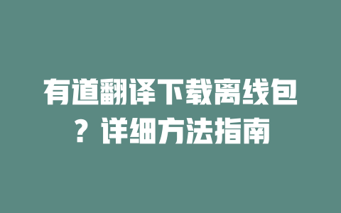 有道翻译下载离线包？详细方法指南 二