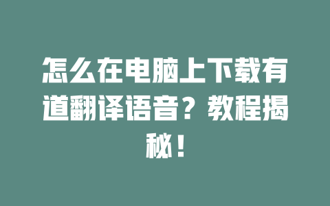 怎么在电脑上下载有道翻译语音？教程揭秘！ 二