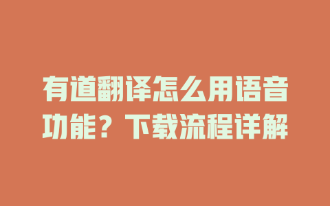 有道翻译怎么用语音功能？下载流程详解 二