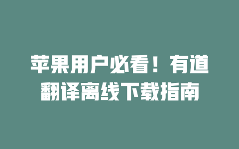 苹果用户必看！有道翻译离线下载指南 二