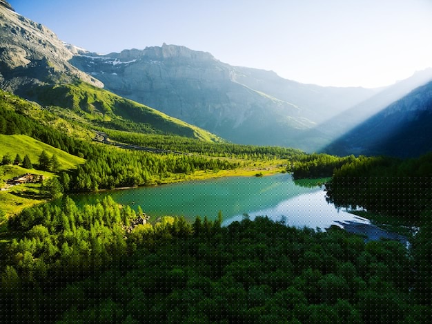 有道翻译语音包下载全教程详解：轻松上手零门槛 一