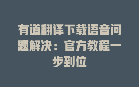 有道翻译下载语音问题解决：官方教程一步到位 二