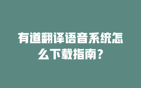 有道翻译语音系统怎么下载指南？ 二