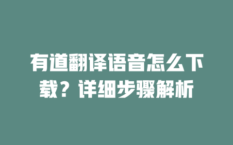 有道翻译语音怎么下载？详细步骤解析 二
